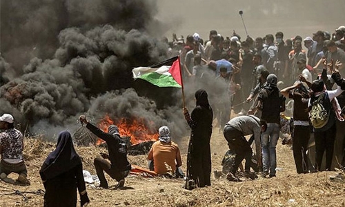 Seven Palestinians Killed in Gaza Border Clash