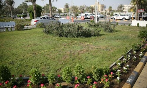 Bahrain Government Hospitals Seek Contractor for Extensive Landscaping Project