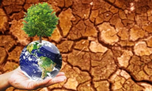 Climate Change: The Necessity of Cooperation for Sustainable Development and Protection of our Planet