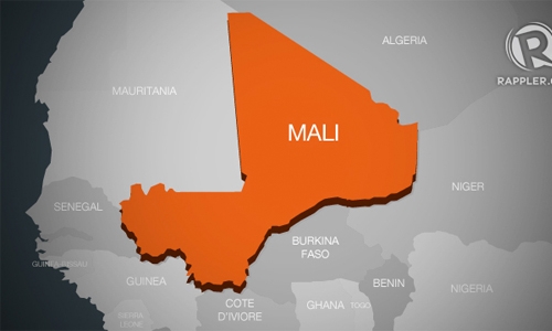 14 killed in Mali land dispute