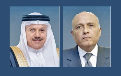 Bahrain and Egypt discuss efforts for regional peace