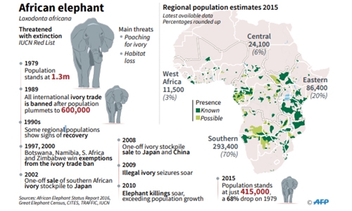 Near-total ban on sending wild elephants to zoos