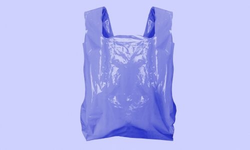 Inspection Campaign Reveals 83% Compliance with Plastic Bag Regulations