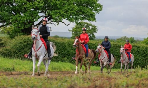 HH Shaikh Nasser instructs Royal Endurance Team to widely participate in Windsor Endurance Festival