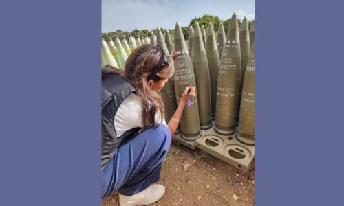 Nikki Haley writes ‘finish them’ on Israeli shell: lawmaker
