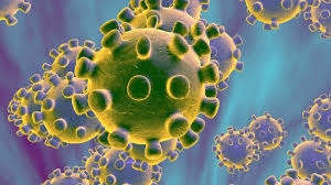 Coronavirus cases in Czech Republic rise to 28