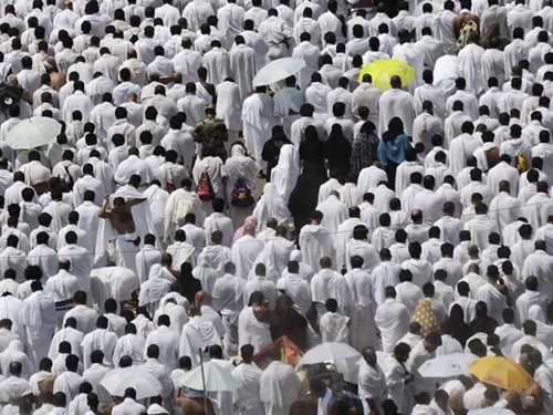Saudi steps up precautions as soaring heat test Hajj pilgrims