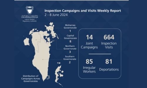LMRA conducts 678 inspection campaigns and visits during last week