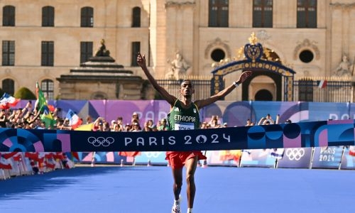 China sweeps diving with eight golds in Paris