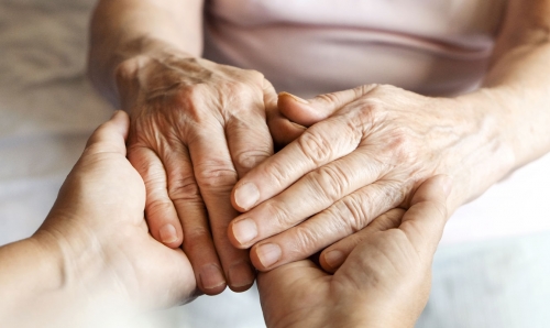 Amendments on rights of elderly discussed