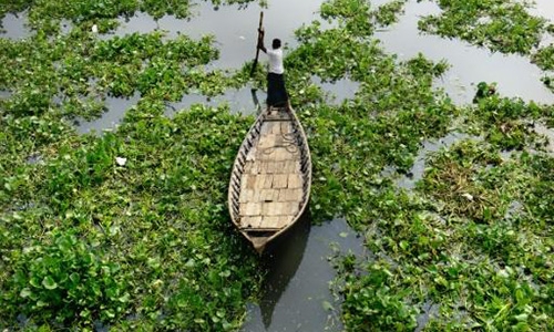 23 dead, 500,000 flee as Cyclone Roanu hits Bangladesh