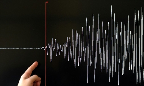 Strong quake hits southern Japan, no tsunami risk