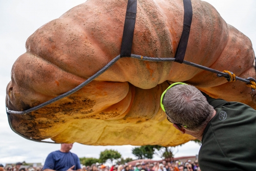 Oh my gourd! Hippo-sized pumpkin is world’s biggest