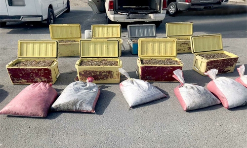 Bahrain Coast guards seize 1,010kg shrimp, arrest two men