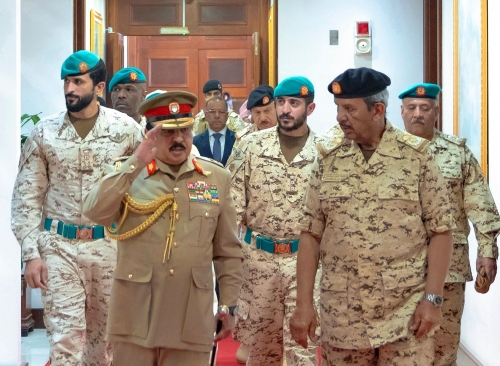 Bahrain King commends BDF patriotism and courage