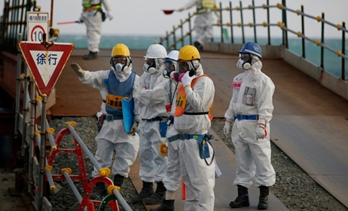 Mutations, DNA damage seen in Fukushima forests: Greenpeace