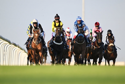 Bahrain set for thrilling year-end horse racing finale 