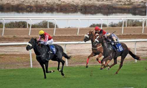 Horse Racing Club holds fourth race