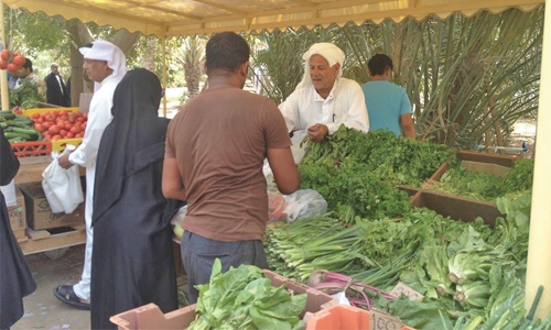 Saturday Farmers’ Market becomes family favourite