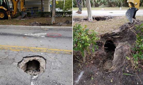 Florida sinkhole leads to secret tunnel to bank
