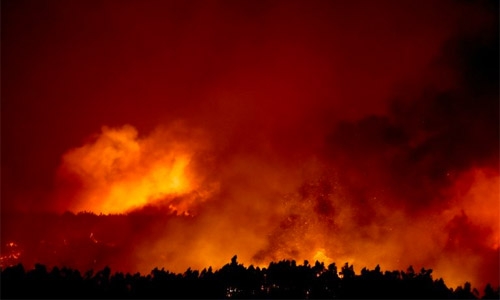 Portugal battles raging forest fires