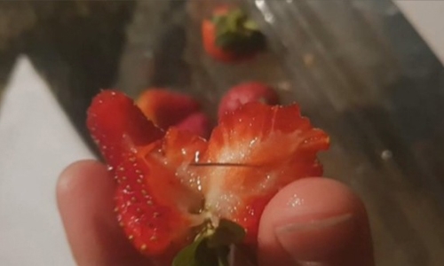 Needle incident in strawberries again