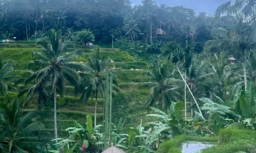 Bali: Where Divine Serenity Meets Earthly Enchantment