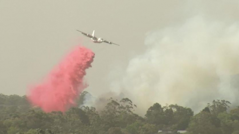 Canadian air tanker crashes while fighting Australia bushfires, three dead
