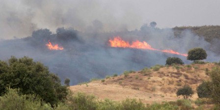 Spain wildfire brought under control: authorities