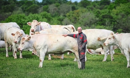 EU urges Japan to drop beef block