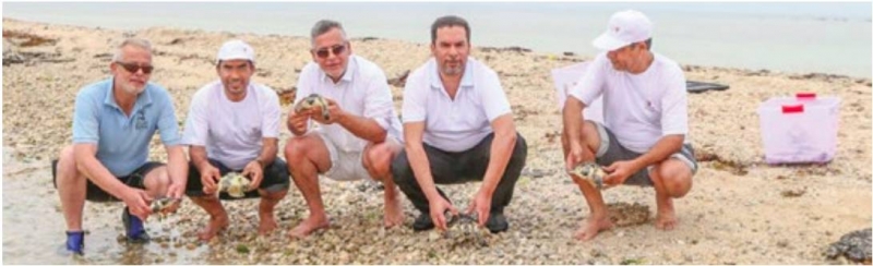 Endangered turtles returned to sea