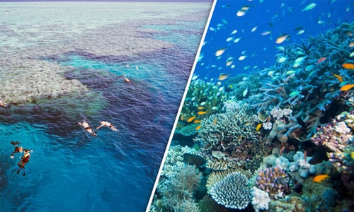 25 million years old Great Barrier Reef dead