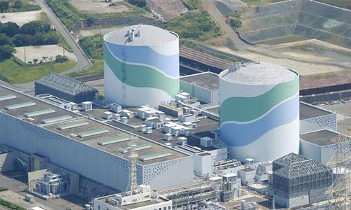 Japan restarts second reactor despite opposition