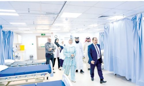 Parliamentary health committee inspects health center