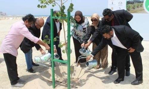 Air-purifying Hibiscus planted in Salman City