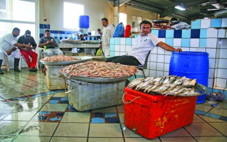 Traders curse heat for lack of fish supply