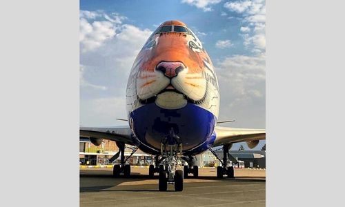 Specially customised plane arrives in Namibia to bring eight cheetahs to India
