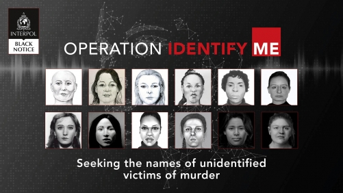 Interpol urges help to solve 22 'cold cases' of murdered women