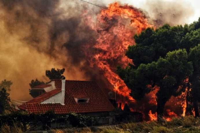 Greece wildfires kill 74