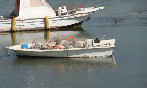 Bahrain seize boats for shrimping  