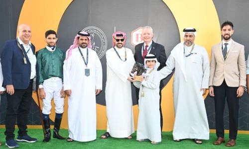 Anann, Battyeford Boy lift Arabian Horse Equestrian Services Cups