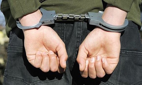 Man jailed for hiding fugitives
