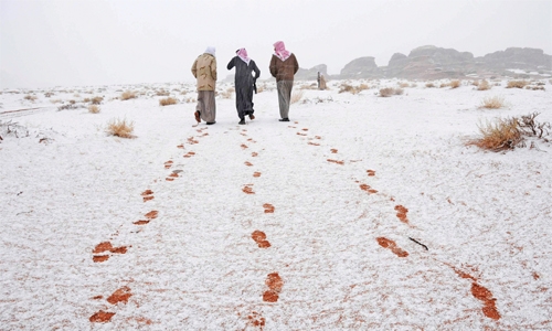 First Saudi snow city to open