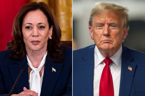 Trump attacks Harris's racial identity, says she opted to 'turn Black'
