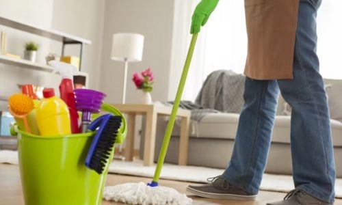 27,972 new permits issued for domestic workers last year