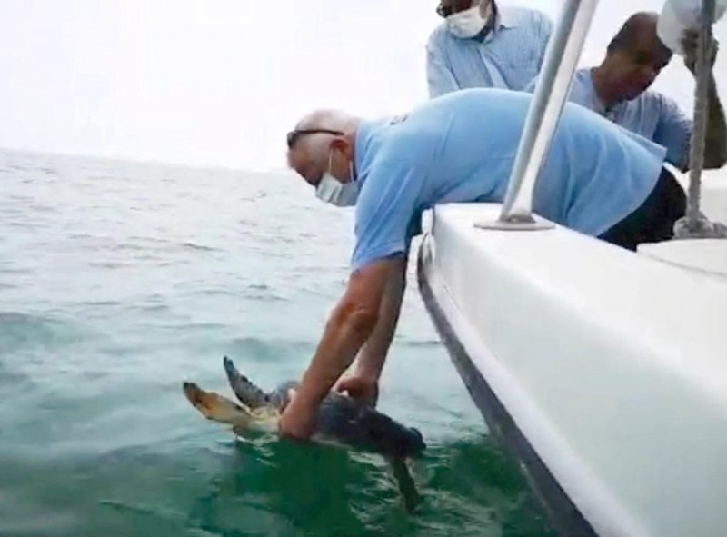 Trawling ban saves sea turtles