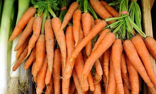Now we know why carrots are orange