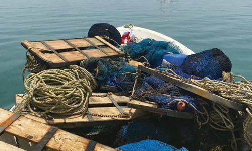 Four Indian Nationals Arrested for Illegal Fishing in Bahraini Waters