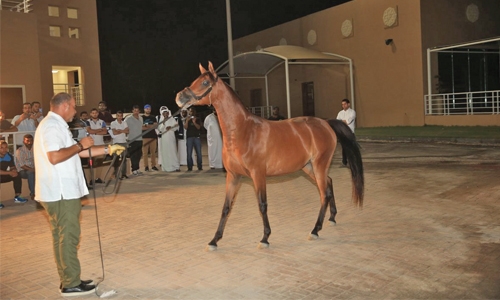 BREEF seminar on Arabian Horse
