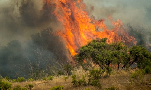 Chile farmers fight wildfire 'catastrophe'
